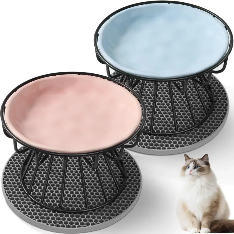 2 Pcs Raised Cat Bowl, Cat Food Bowl with Metal Stand