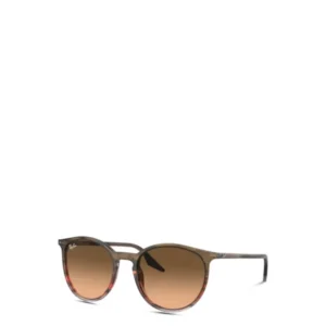 RB2204 Round Acetate Sunglasses